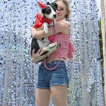 dog and date dressed up in western clothes