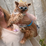 dog dressed up
