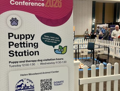 Large signage announcing a puppy petting station