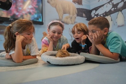 Group of children looking at a guinea pig