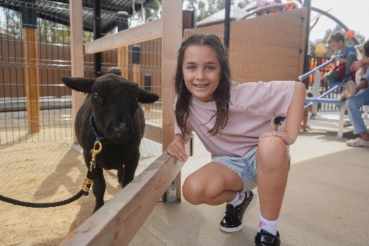 kid kneeling beside a goat