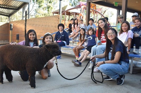 group of children and a camp instructor interacting with a sheep