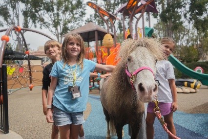 Kids standing around a pony at critter camp