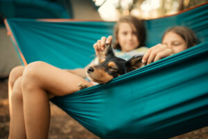 dog camping with kids 