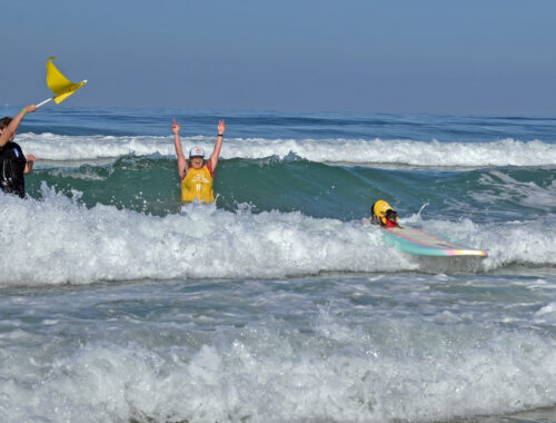 A dog on a surf board riding a wave with two handlers standing by