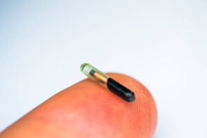 close-up photo of a microchip for pets on human finger
